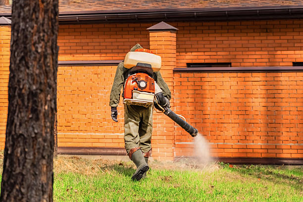 Trusted Emergency Pest Control service in Pinetop-Lakeside, AZ - Nex Pest Control